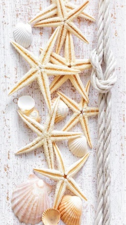 no611_morskoy_briz_1