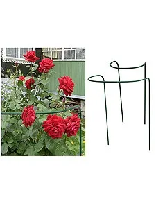 03cfddf634d711e08ec0001517e6c270_d7a236b485ce11ecb9c7001517e6c270